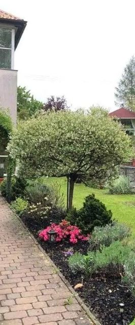 Penzion Swist Česká Ves