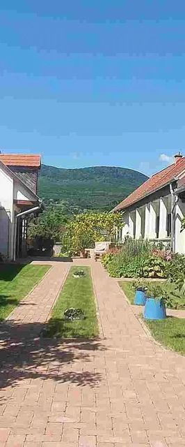 Mayday Cottage Pócsmegyer