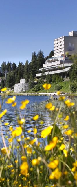 Panorama Hotel Turracher Höhe