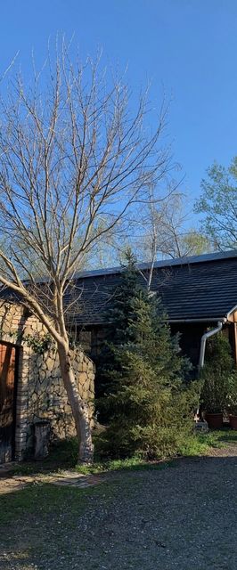 FeketeFenyő Vendégház Soltvadkert