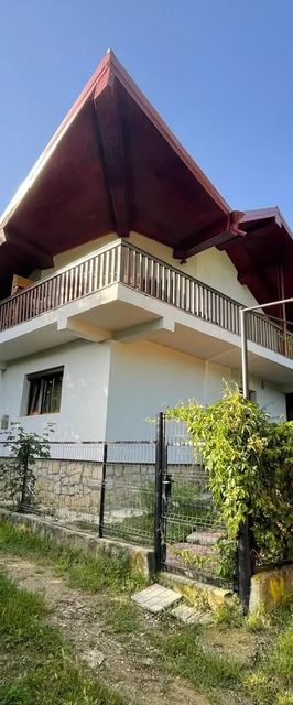 Vila Apollonia Valea Budului