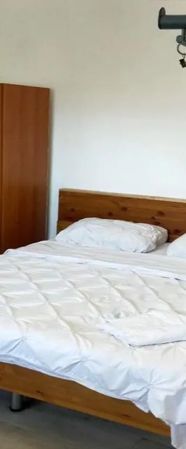 Elena Camere de Închiriat București