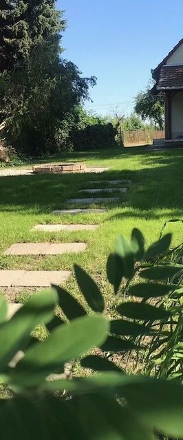 Bambusz Vendégház Békésszentandrás