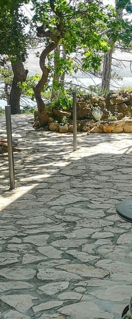 Apartman Novalja - CKP023