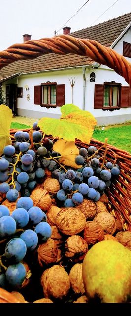 Őrség Kincse Vendégház Hegyhátszentjakab