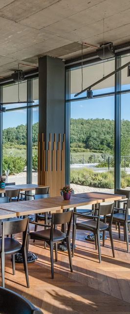 Lajver Borbirtok Szálka