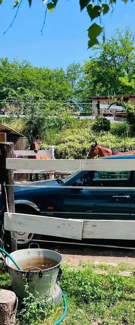 Hárpia Fészek Vendégház Pécsvárad