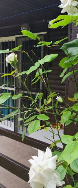 Nébel Vendégház Komárom