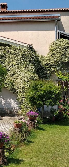 Apartments Bozac Porec