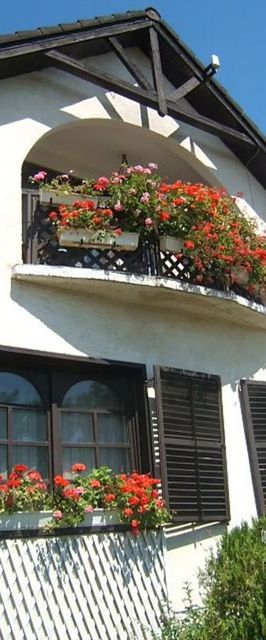 Elyzabeth Vendégfogadó Kálmánháza