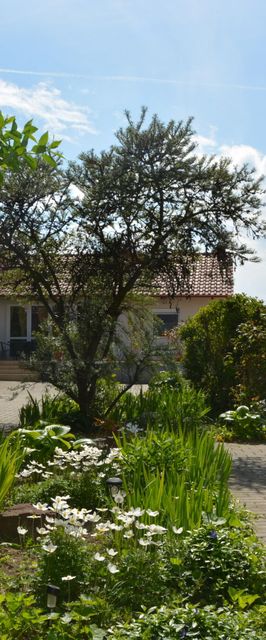 Csenár Apartman IV Hegykő