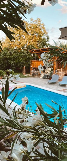 Csodaösvény Vendégház Egyek