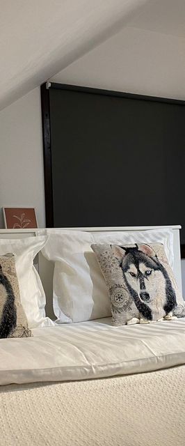 Chalet Husky Seciuri