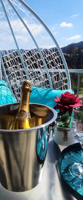 Apartament Erika Premium Sinaia