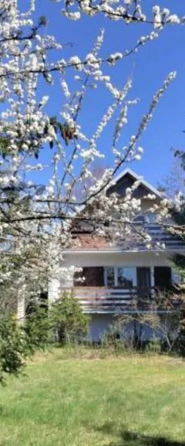 Widny Jaś Sulęczyno