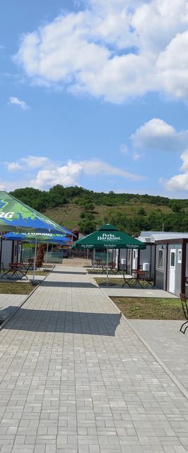 Bungalow Country Court Curteni