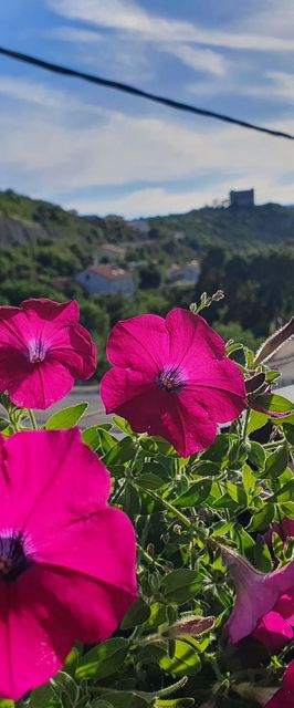 Apartmanok Parkolóhellyel Senj - 19751
