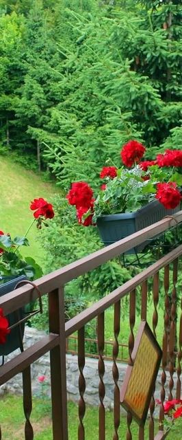 Nyaralóház Parkolóhellyel Sunger, Gorski Kotar - 20655 Sunger