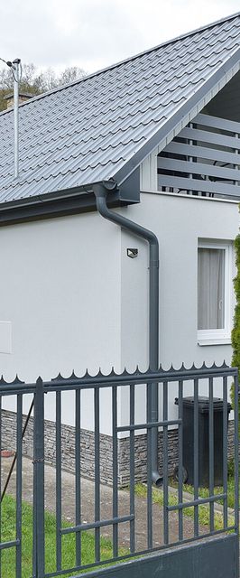 Singh Kuckó Bogács