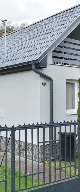 Singh Kuckó Bogács