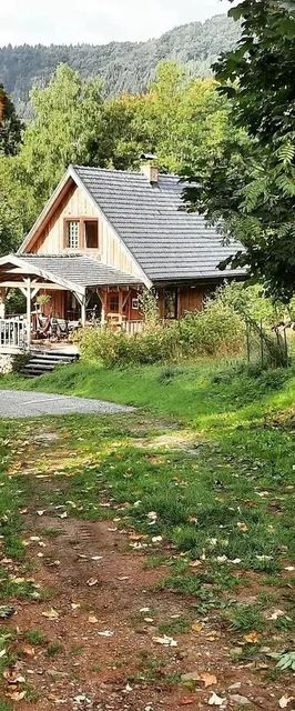 Domalek pod Złotym Kogutem Lewin