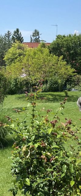 Balatonfüred-Péter Apartman Balatonfüred