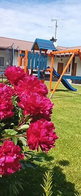 Flauta Apartamenty Rodzinne Mielenko