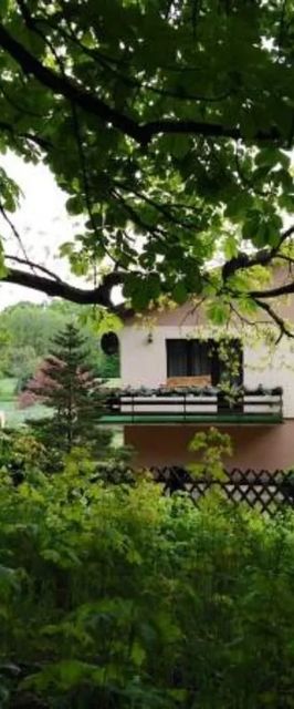 Dom Czar Lasu na Kaszubach - Grzybowski Młyn