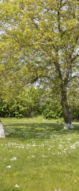 Rezerwat20 noclegi nad krystalicznie czystym jeziorem Próchnowo