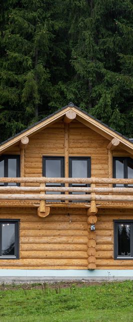 Cabana Ursul Negru Izvoare