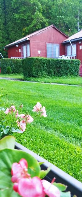 Mecsek Virágai Lak Apartman Magyarhertelend