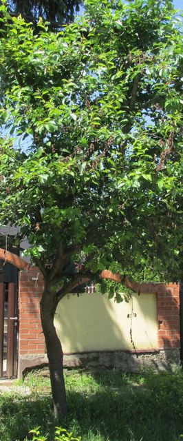 Mn Apartman Magyarnándor