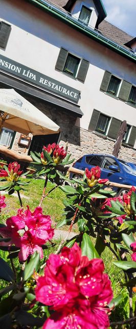 Pension Lípa Horní Maršov