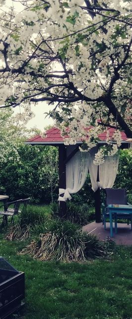 Mazsola Vendégház Békésszentandrás