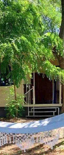 Bakonyi Pata Tanya Nagytevel 