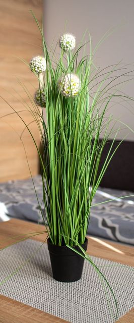 Apartamenty Noclegi u Moniki Janowiec Wielkopolski