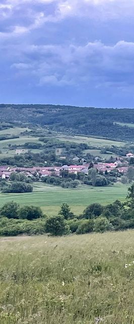 Nyaraló Emberi Szuhogy