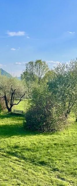 Zöld Paradicsom Vendégház Nagymaros