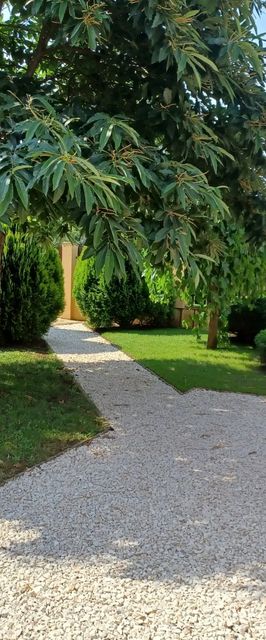 Bodza Lak Hajdúszoboszló