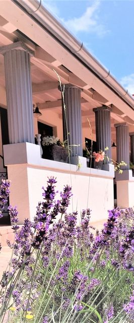 Nanica Vendégház Buzsák