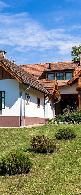 Boncz Porta Felső  Nagyrákos