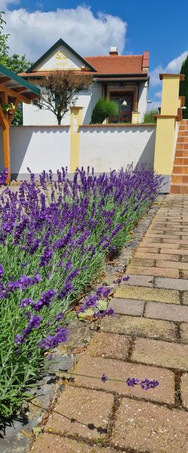 Kishegyi Vendégház Zalaegerszeg