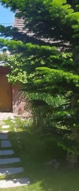 Kwatera Agro Dębina