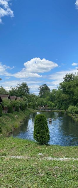 Păstrăvăria Alina Sârbi