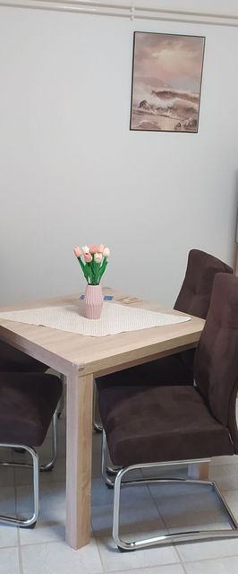 Eliza Apartman Gyula