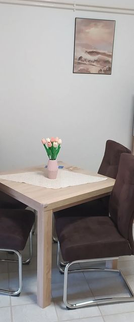 Eliza Apartman Gyula