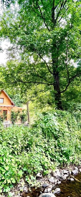 Hütte Vendégház Szokolya