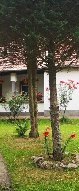 Hutagyöngye Vendégház Háromhuta