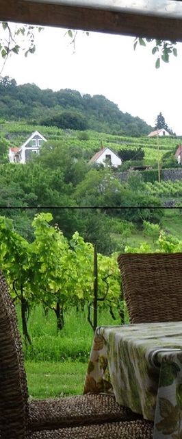 Juhfarkliget Vendégház Somlóhegy