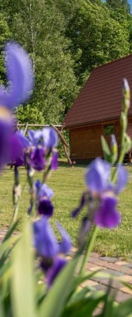 Mazurskie Chatki Szymonówko